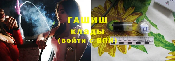 индика Богородицк