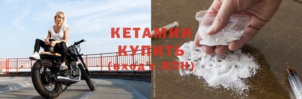 индика Богородицк