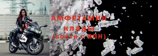 индика Богородицк