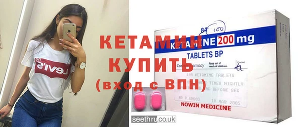 индика Богородицк