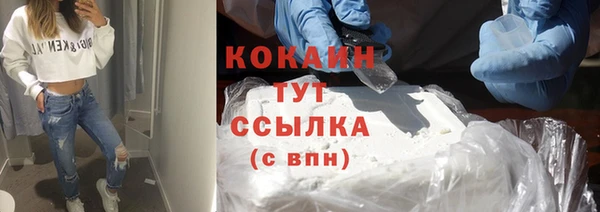 индика Богородицк