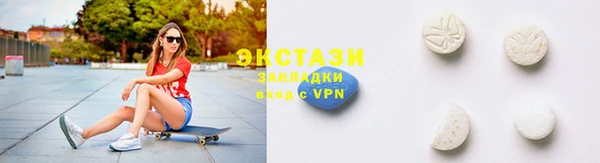индика Богородицк
