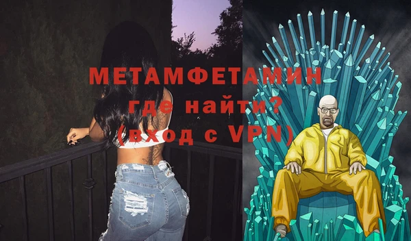 индика Богородицк