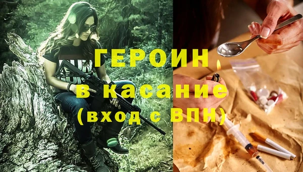 индика Богородицк
