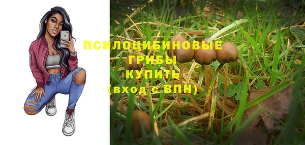 индика Богородицк