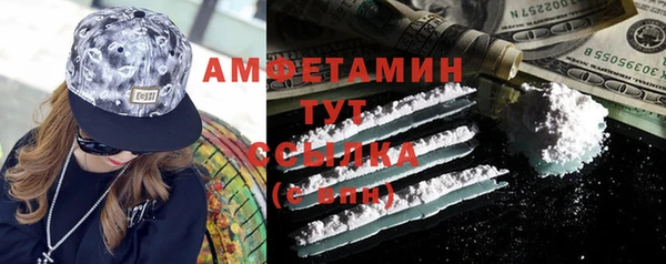 индика Богородицк
