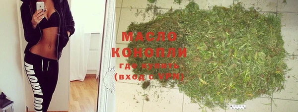 индика Богородицк