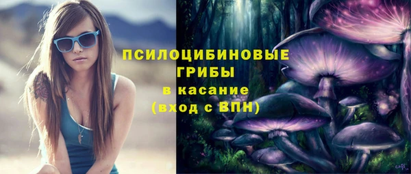 крисы Богданович