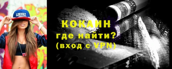 индика Богородицк