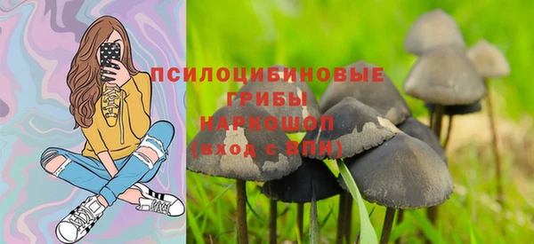 крисы Богданович