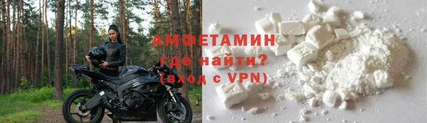 индика Богородицк