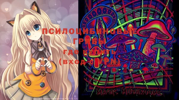 крисы Богданович