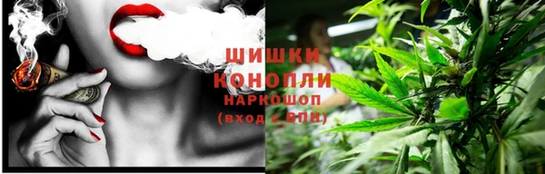 крисы Богданович